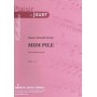 Midi Pile pour Xylophone et Piano de Thierry DELERUYELLE